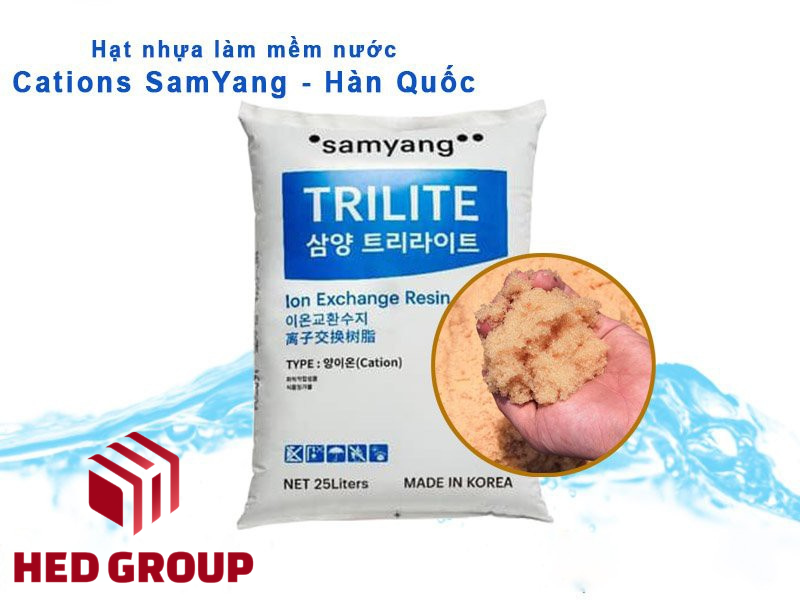 Công Ty Cổ Phần HED GROUP